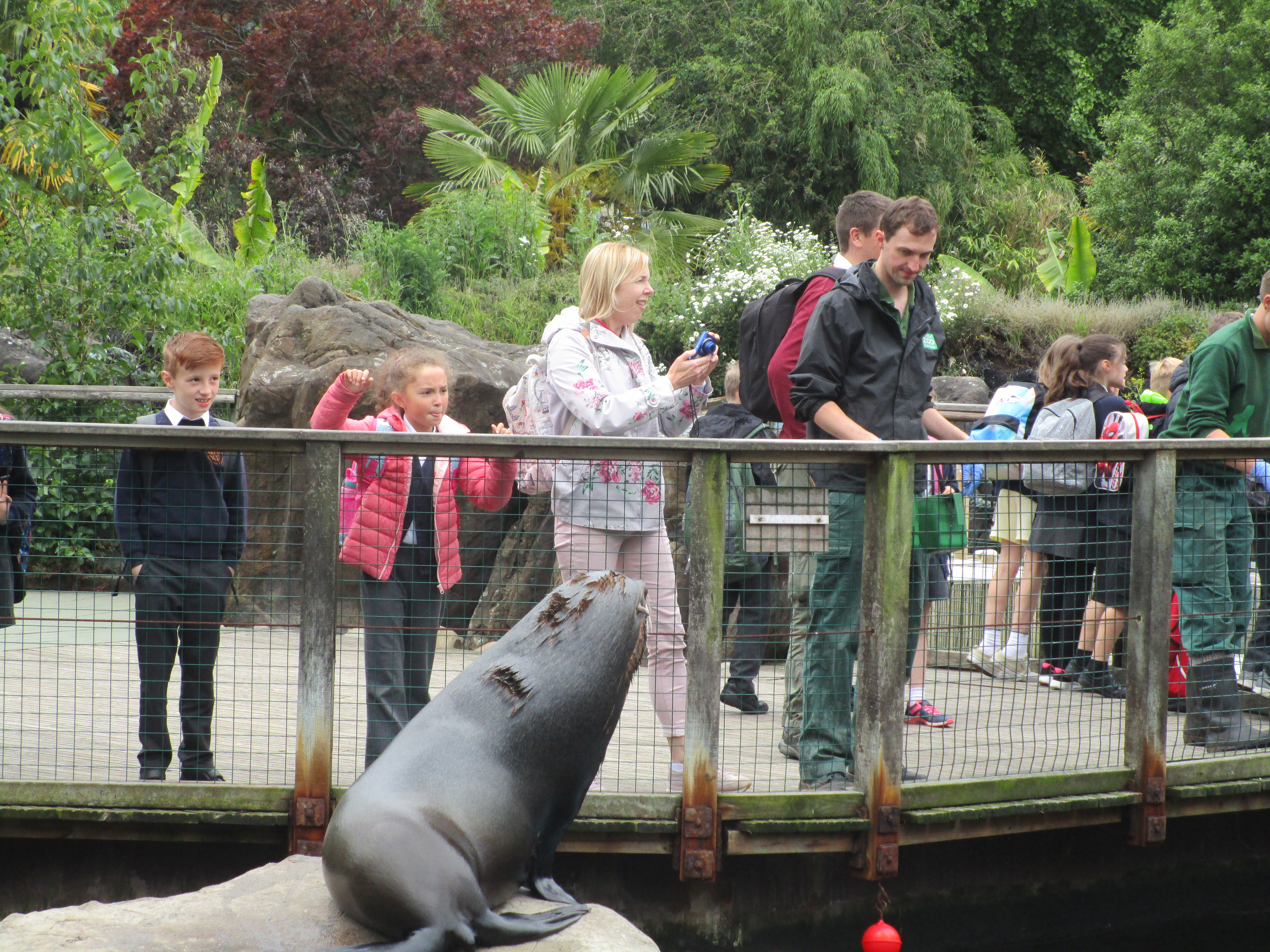 Trip to Bristol Zoo | allsaintsprimary