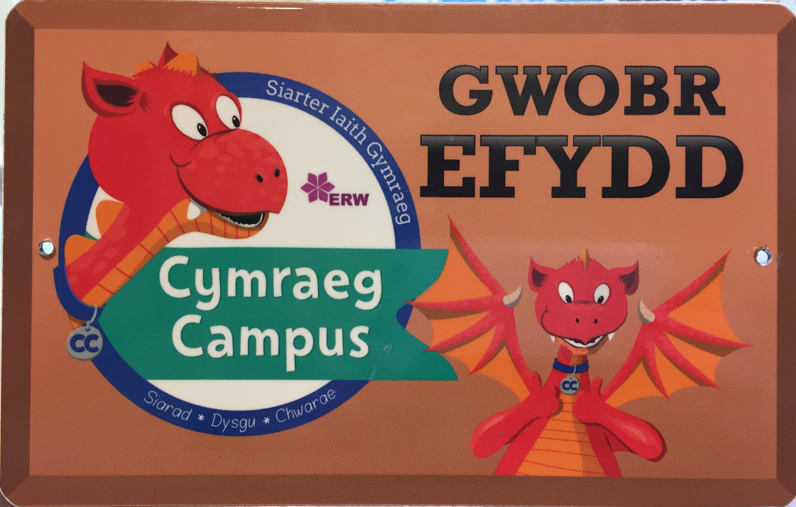 Cymraeg Campus Bronze Award Leighton Community Primary School