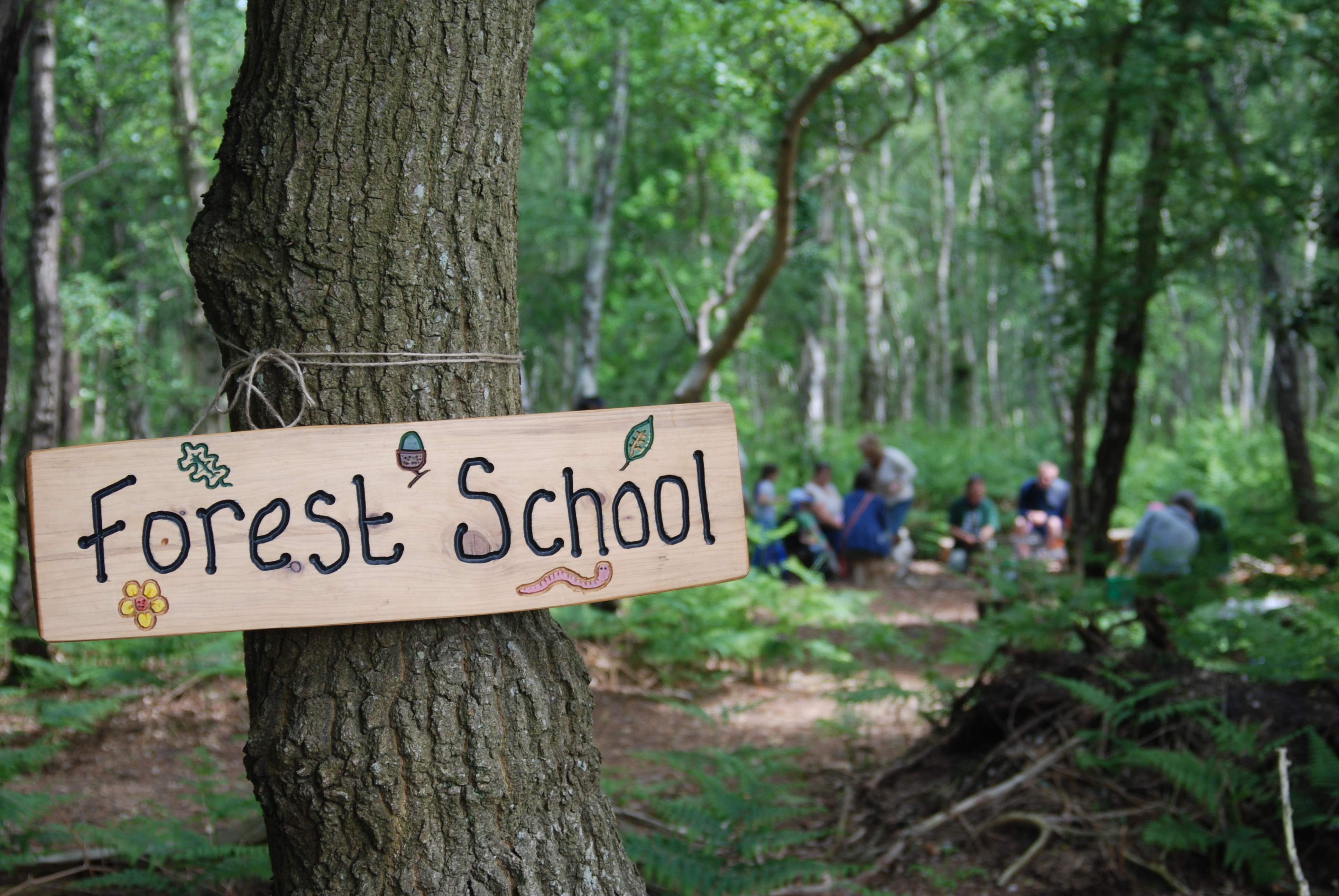 forest_school_2_roydon_wood_fair_2013_by_nat_light_17.jpg (3872×2592)