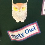 Hooty Owl