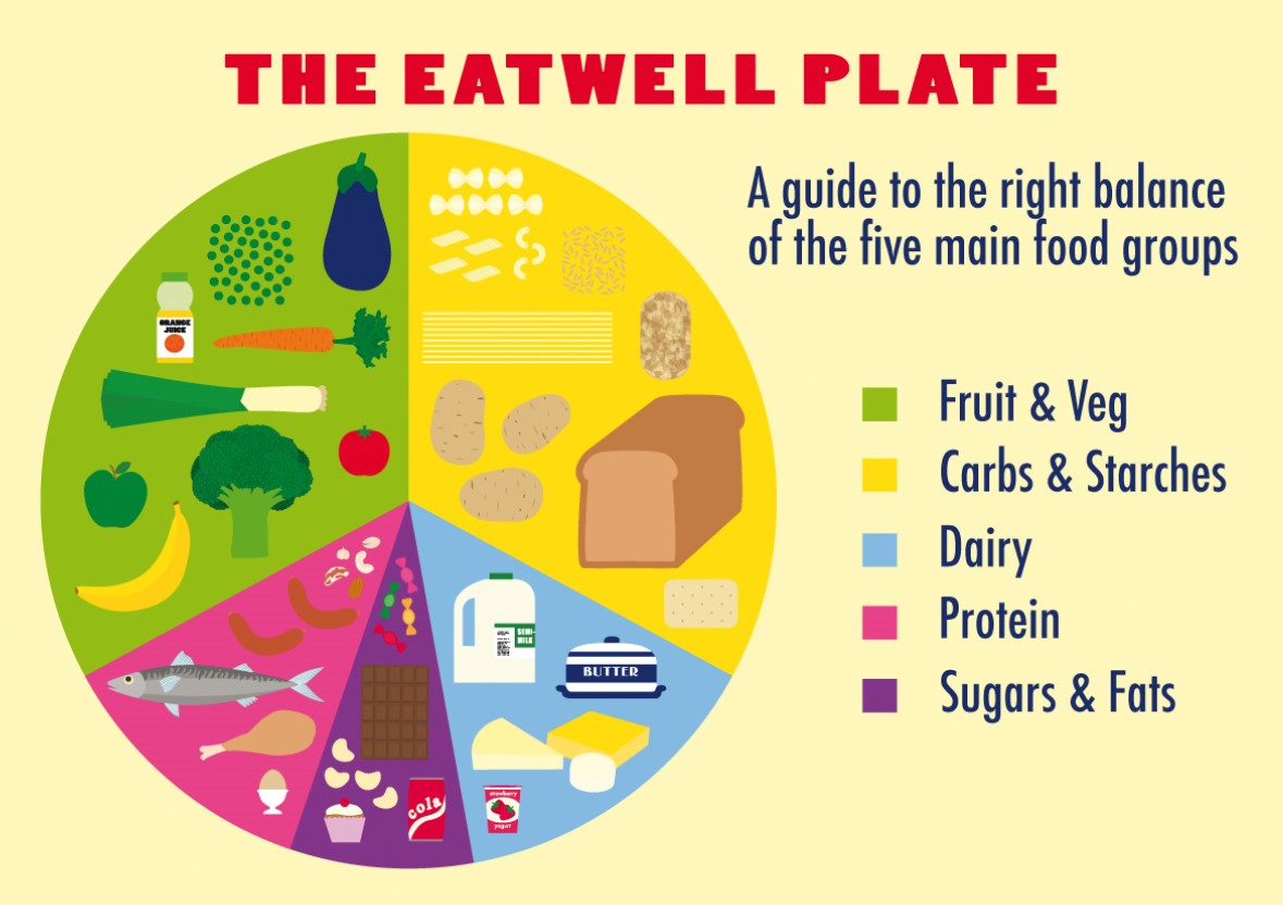 Image result for eat well plate